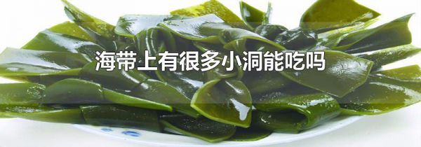海带上有很多小洞能吃吗