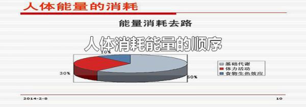人体消耗能量的顺序