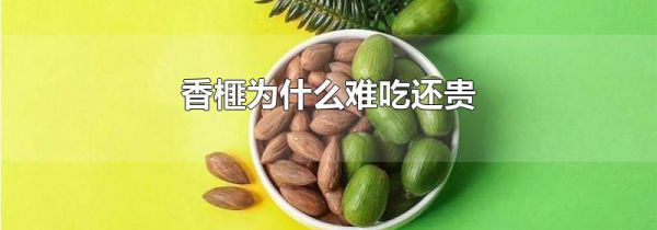 香榧为什么难吃还贵