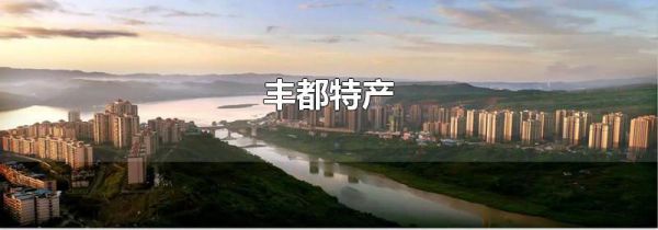 丰都特产
