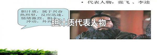 胆汁质代表人物