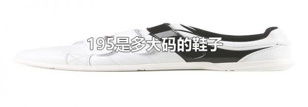 195是多大码的鞋子