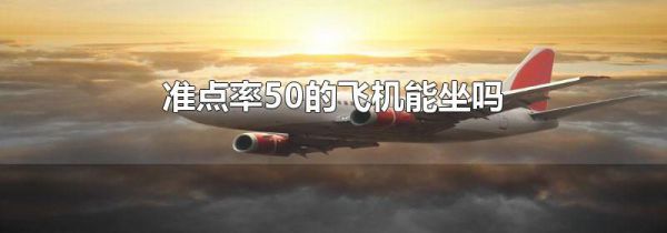 准点率50的飞机能坐吗