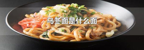 乌冬面是什么面