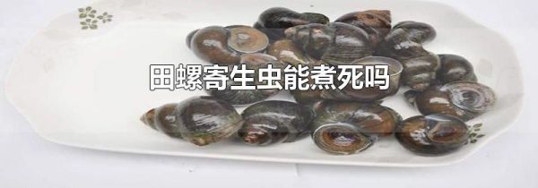 田螺寄生虫能煮死吗