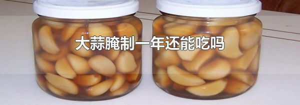 大蒜腌制一年还能吃吗