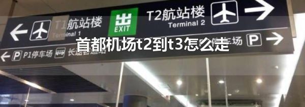 首都机场t2到t3怎么走