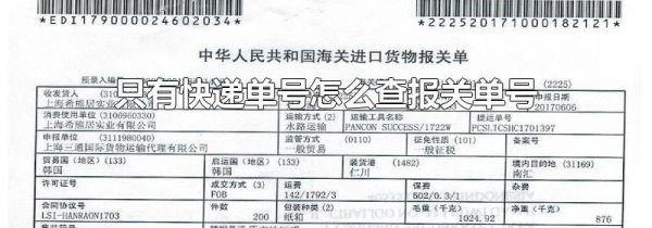 只有快递单号怎么查报关单号