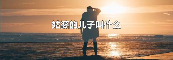 姑婆的儿子叫什么