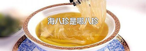 海八珍是哪八珍