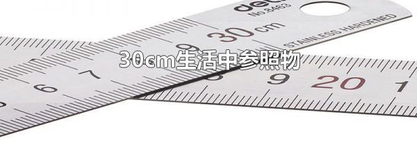 30cm生活中参照物