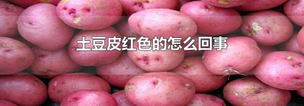 土豆皮红色的怎么回事