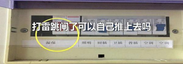 打雷跳闸了可以自己推上去吗