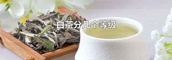 白茶分几个等级