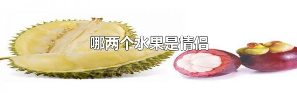 哪两个水果是情侣