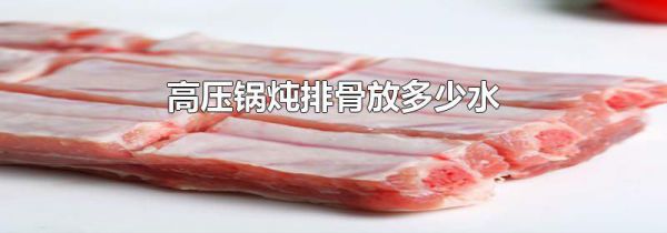 高压锅炖排骨放多少水