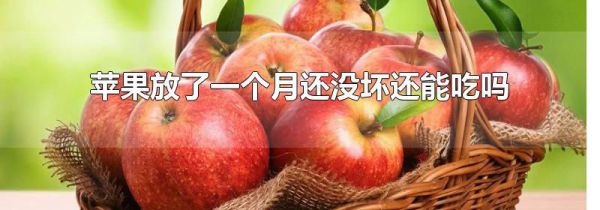 苹果放了一个月还没坏还能吃吗