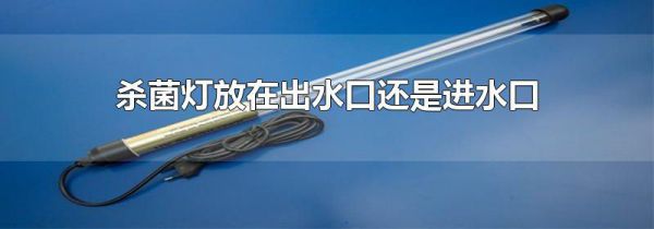 杀菌灯放在出水口还是进水口