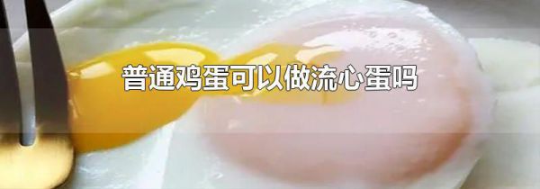 普通鸡蛋可以做流心蛋吗