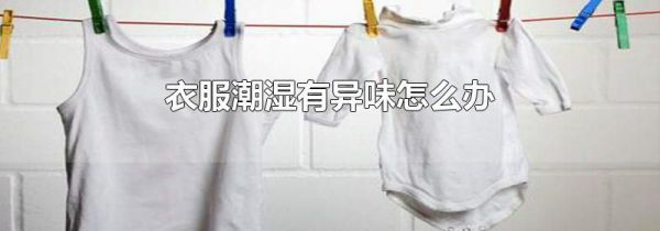 衣服潮湿有异味怎么办