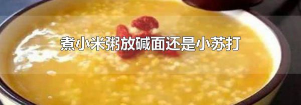 煮小米粥放碱面还是小苏打