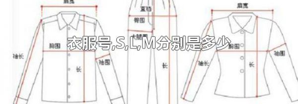 衣服号,S,L,M分别是多少