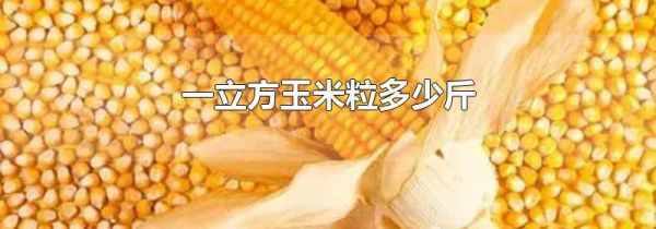 一立方玉米粒多少斤