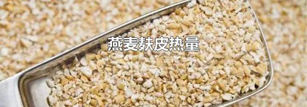 燕麦麸皮热量