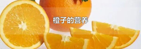 橙子的营养