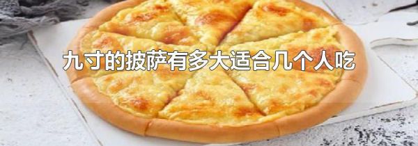 九寸的披萨有多大适合几个人吃