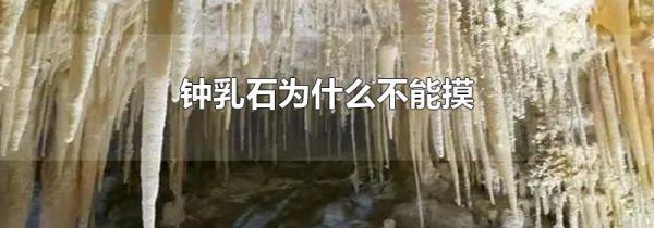 钟乳石为什么不能摸