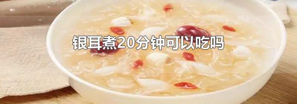 银耳煮20分钟可以吃吗