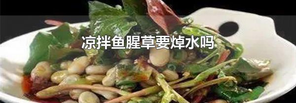 凉拌鱼腥草要焯水吗