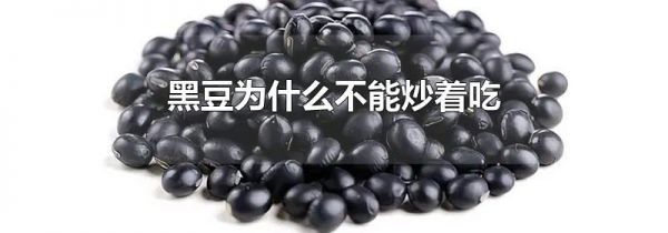 黑豆为什么不能炒着吃