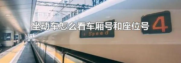 坐动车怎么看车厢号和座位号