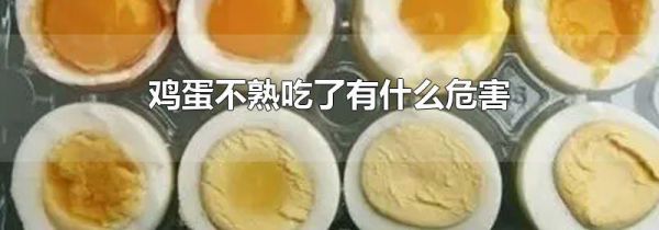 鸡蛋不熟吃了有什么危害