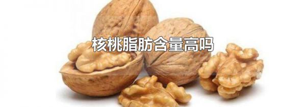 核桃脂肪含量高吗