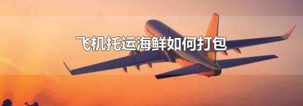 飞机托运海鲜如何打包