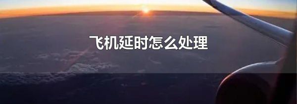 飞机延时怎么处理
