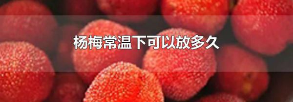 杨梅常温下可以放多久
