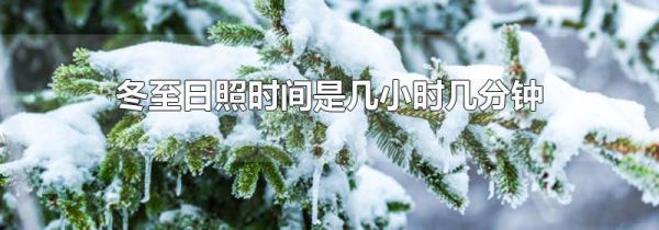 冬至日照时间是几小时几分钟