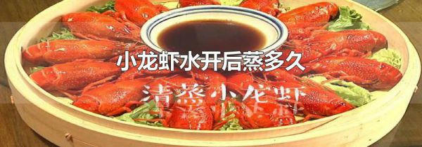 小龙虾水开后蒸多久