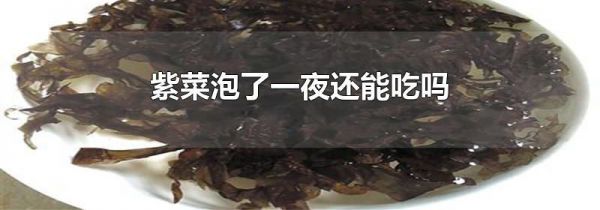 紫菜泡了一夜还能吃吗