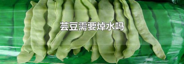芸豆需要焯水吗