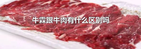 牛霖跟牛肉有什么区别吗