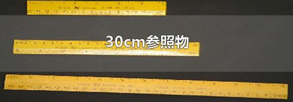 30cm参照物