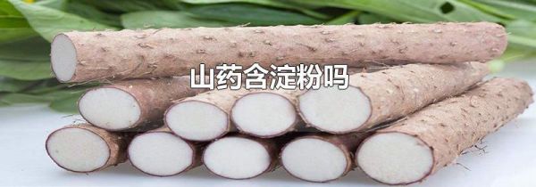 山药含淀粉吗