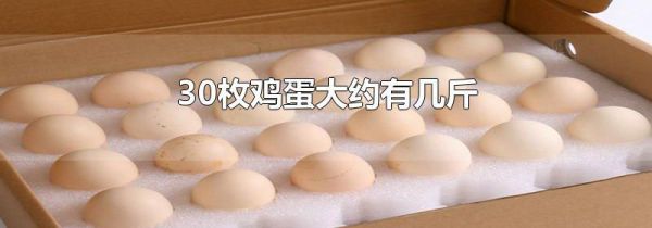 30枚鸡蛋大约有几斤