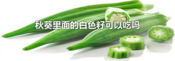 秋葵里面的白色籽可以吃吗