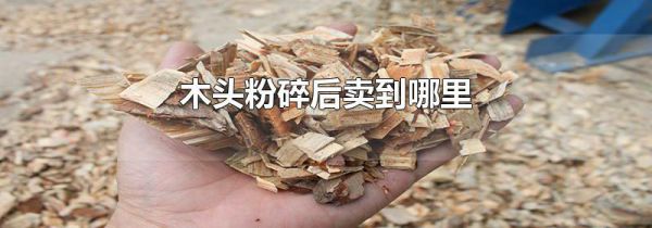木头粉碎后卖到哪里
